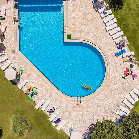 Palmyra 아르가시